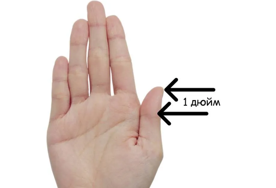 Слово «дюйм» происходит от голландского «палец»