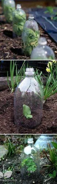 Поделки из пластиковых бутылок для сада и огорода фото 20