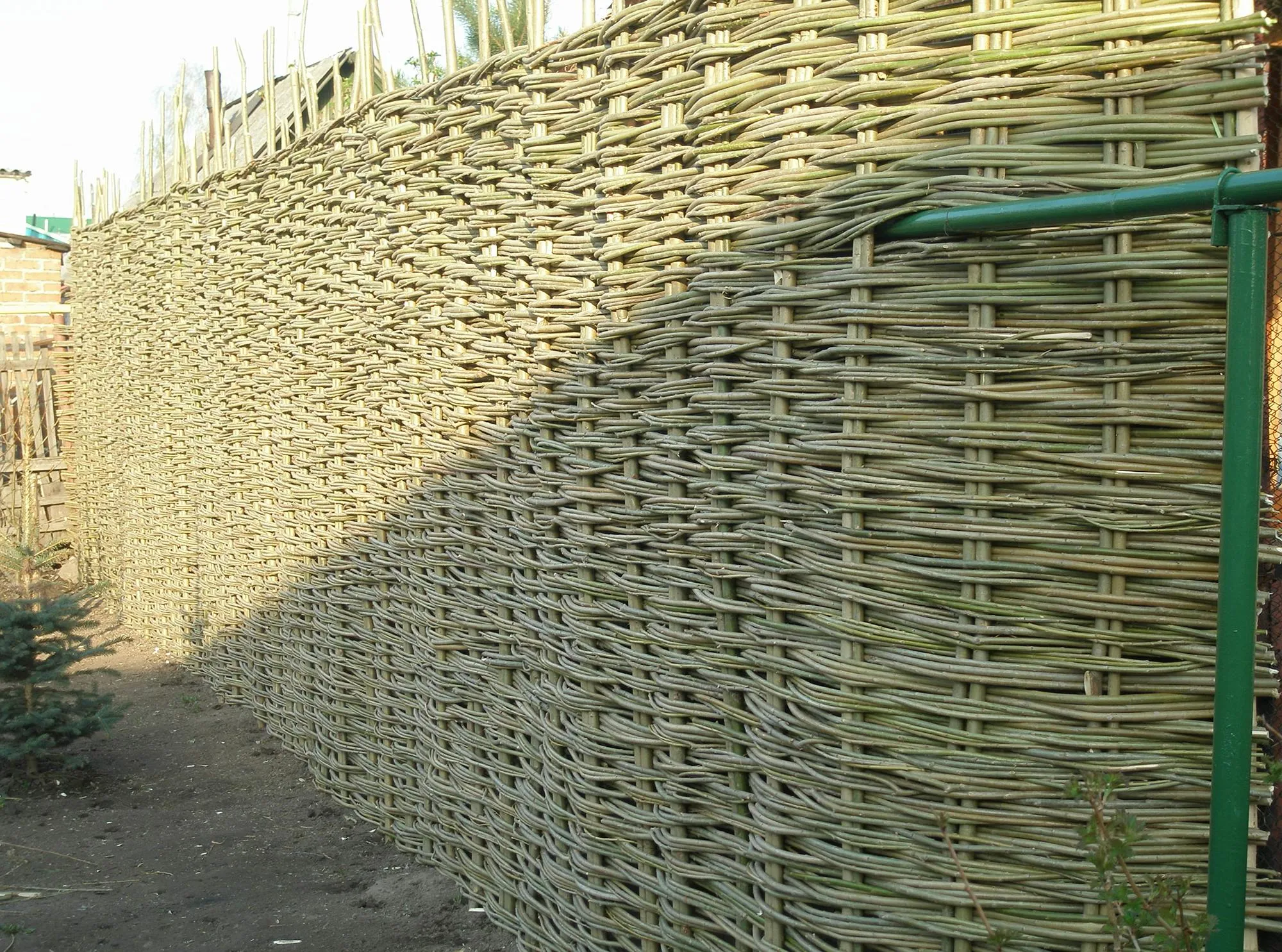 Высокий плетеный забор для дачи