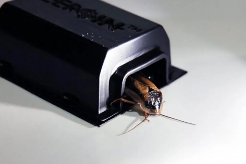 Что делать и как избавиться, если тараканы живут в холодильнике – пошаговая инструкция, как вывести насекомых из бытовой техники. Профилактика, установка ловушек
