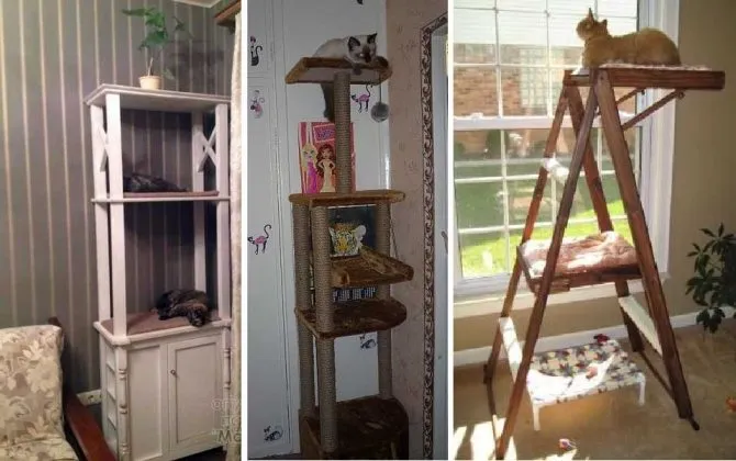 Как сделать домик для кошки своими руками: пошаговая инструкция - игровой комплекс в домашних условиях когтеточка фото